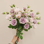 Rosa Austin de Seda Tallo Largo — Ecológica, 5 Colores, Bodas y San Valentín