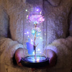 Rosa en Cúpula de Cristal con LED — Estilo La Bella y la Bestia, 16 Estilos, Regalo