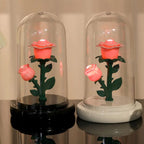 Romantic Eternal Rose Lamp with Lampshade Luminous LED Flower Light Pink Simple Rose Flower Night Light Wedding Decor