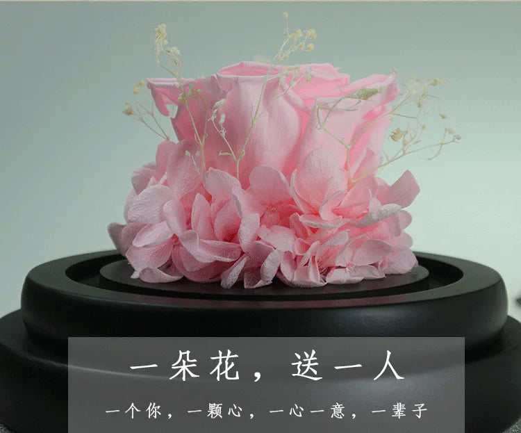 Natural Eternal Rose In Glass With lamp Beauty Preserved Flowers Forever Wedding Valentine Gifts for Girl
