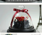 Natural Eternal Rose In Glass With lamp Beauty Preserved Flowers Forever Wedding Valentine Gifts for Girl