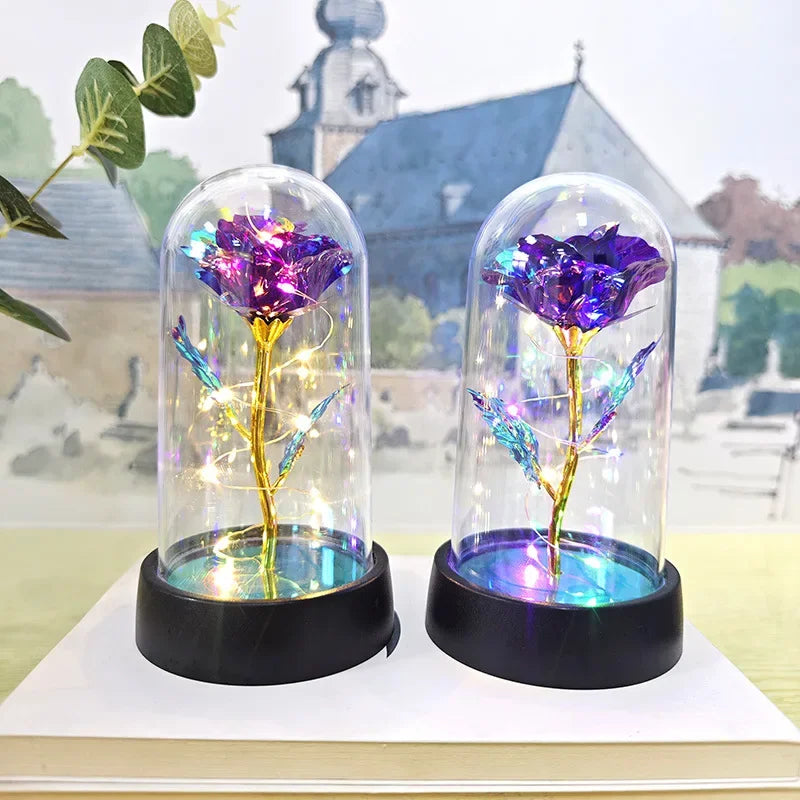 Eternal Rose Flower Valentines Birthday Gifts Light Up Artificial Rose with Transparent Dome Christmas Thanksgiving Women Gifts