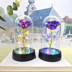 Eternal Rose Flower Valentines Birthday Gifts Light Up Artificial Rose with Transparent Dome Christmas Thanksgiving Women Gifts