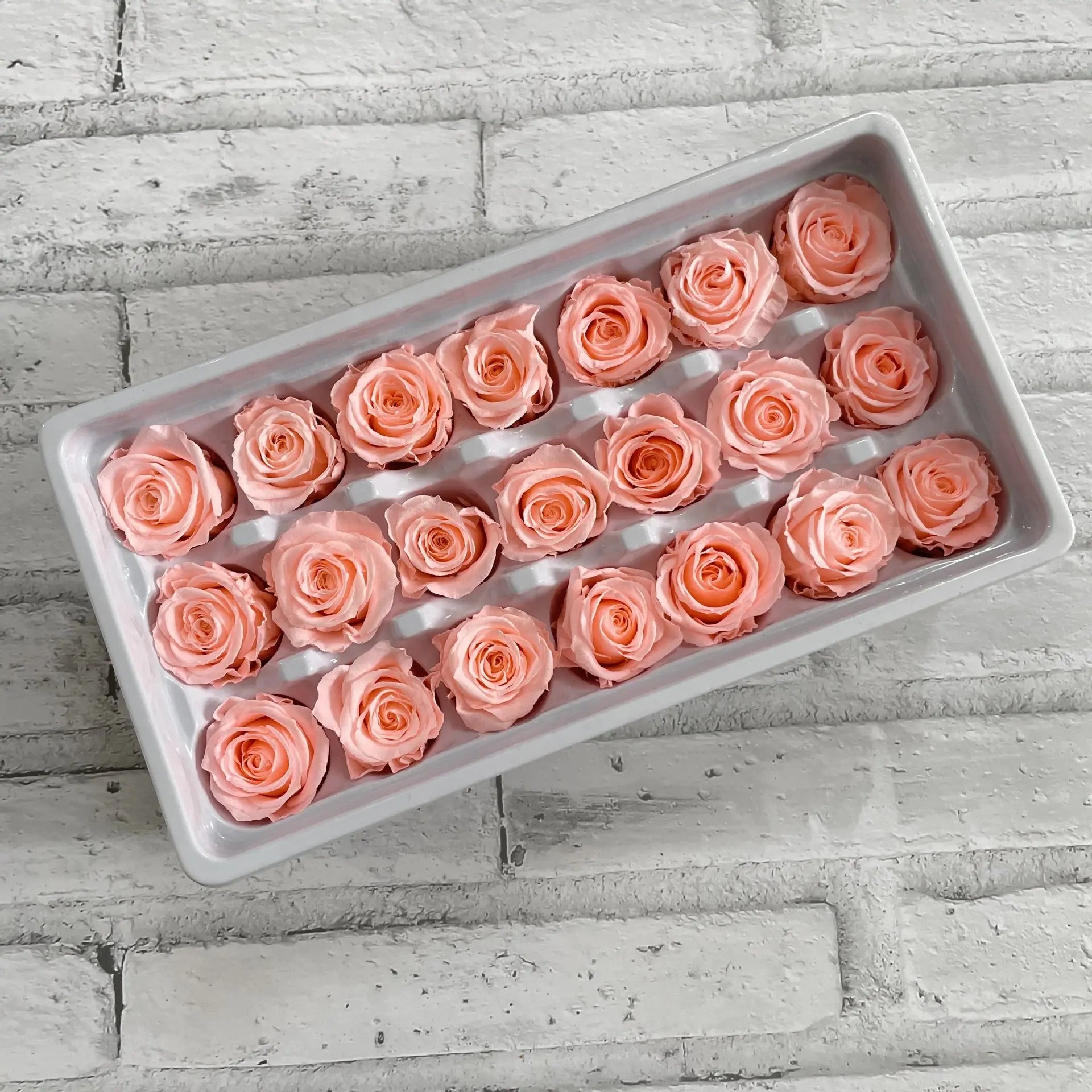 2-3cm/ A-grade Immortal Rose Preserved Flower Rose Head Handmade Flower DIY Material Gift Box Wedding Decoration Rose