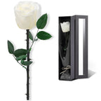 Preserved Rose for Women,Single Stem Eternal Rose Gift for Her,Mom Birthday Gifts From Daughter Valentine's Day Flowers Presents