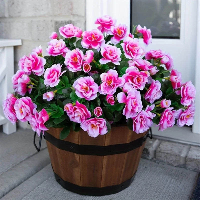 Arbusto de Azalea Resistente al Sol UV — Exterior y Jardín, 7 Colores