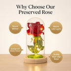 Creative Eternal Rose Glass Cover Ornament  LED Light Simulation  Flower  Mother's Day Valentine's Day Gift Anniversary Blessing