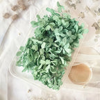Dried flower eternal petal material cart hanging flower wreath embroidered ball decoration handmade eternal flower bag