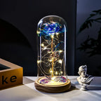 Eternal Rose LED Light glass Cover Flower Valentines Day Gift Wedding Party Decor Artificial Rose Flowers Light Christmas Gift