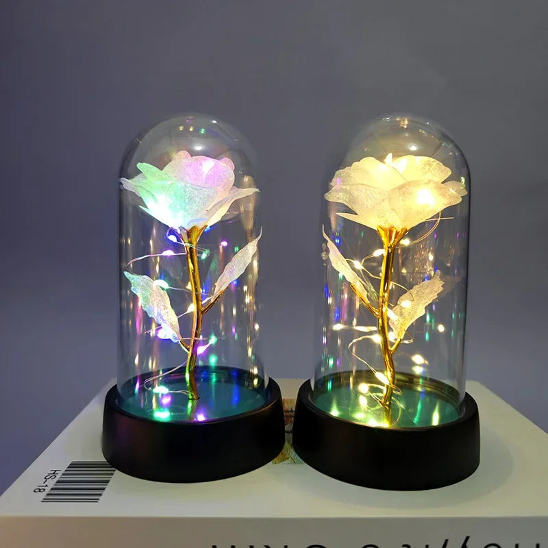 Eternal Rose Flower Valentines Birthday Gifts Light Up Artificial Rose with Transparent Dome Christmas Thanksgiving Women Gifts