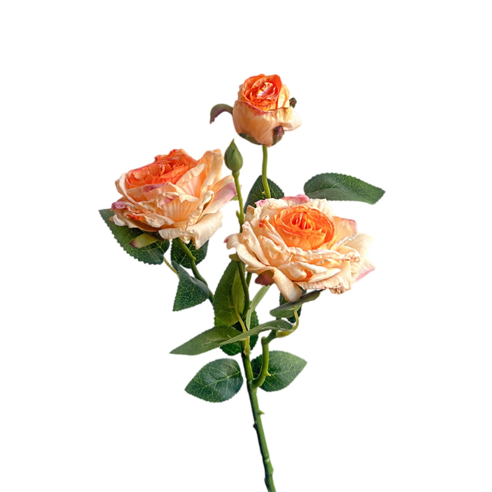 Rosa de Seda Borde Quemado Estilo Francés — Tallo 3 Cabezas, 8 Colores, Boda y Eventos