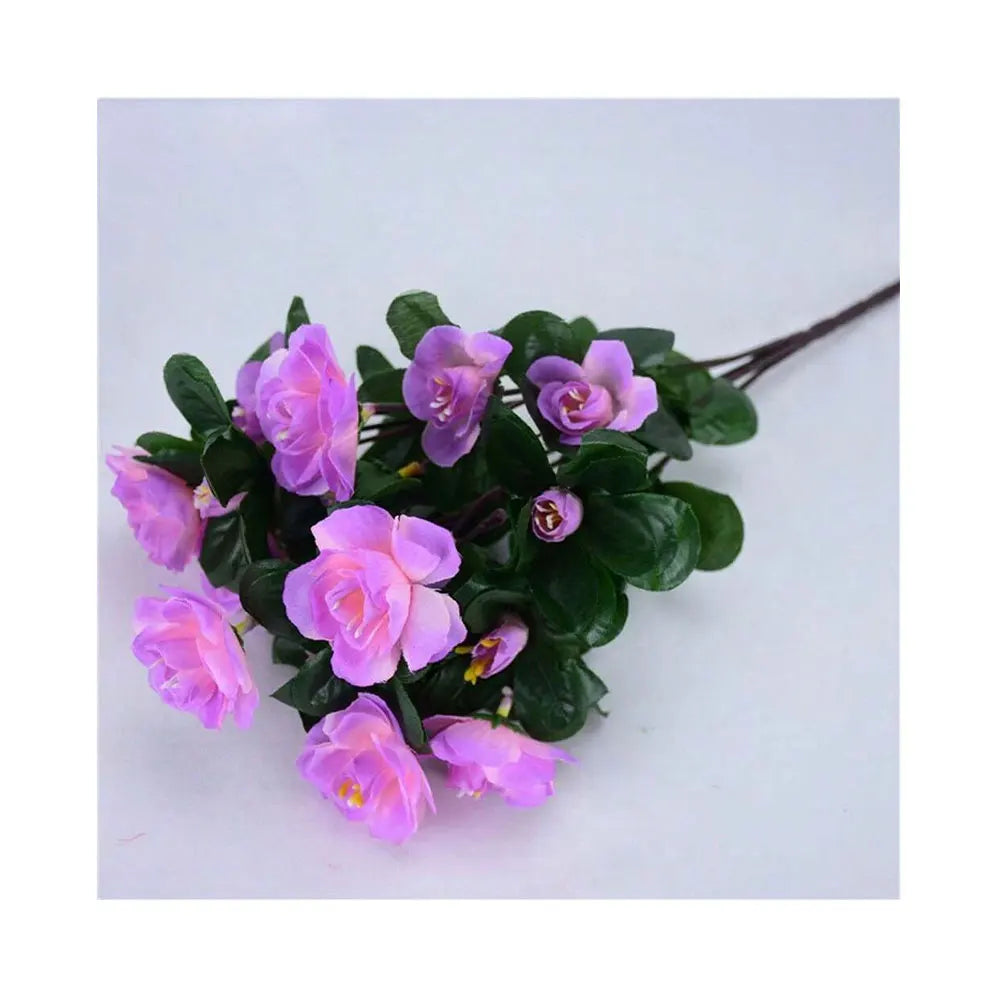 Arbusto de Azalea Resistente al Sol UV — Exterior y Jardín, 7 Colores