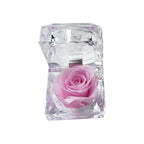 Eternal Preserved Rose Real Flower Valentine'S Birthday Anniversary Mother'S Day Acrylic Gift Box New Artificial Decorations