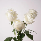 Rosas Real Touch con Humedad — Ramo 10 Tallos Látex, 6 Colores, Novia
