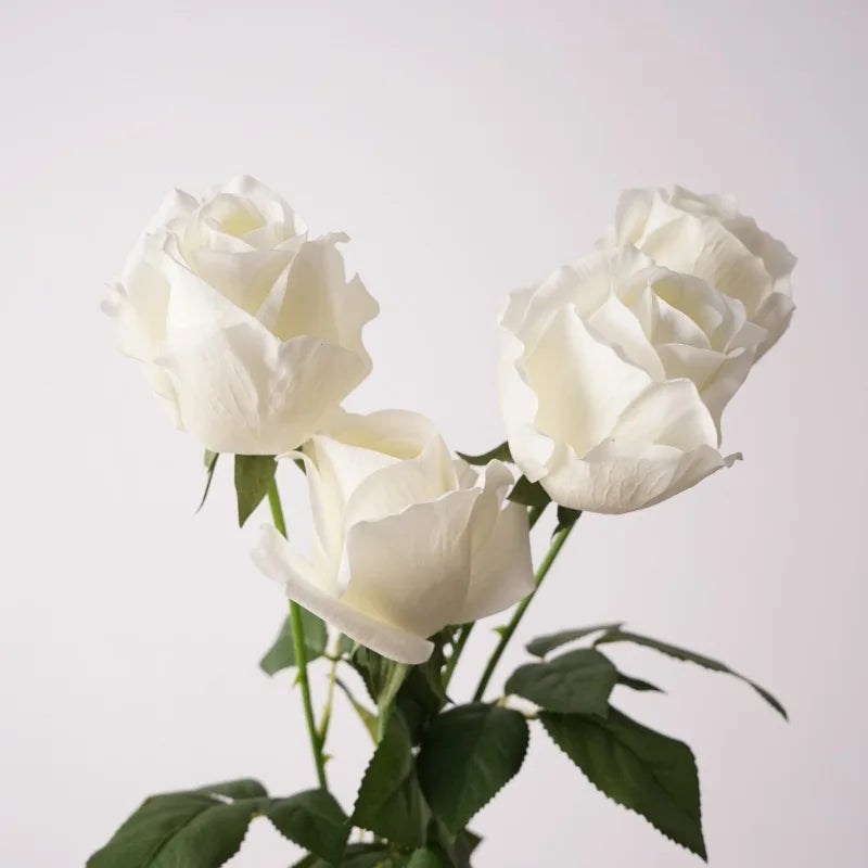 Rosas Real Touch con Humedad — Ramo 10 Tallos Látex, 6 Colores, Novia