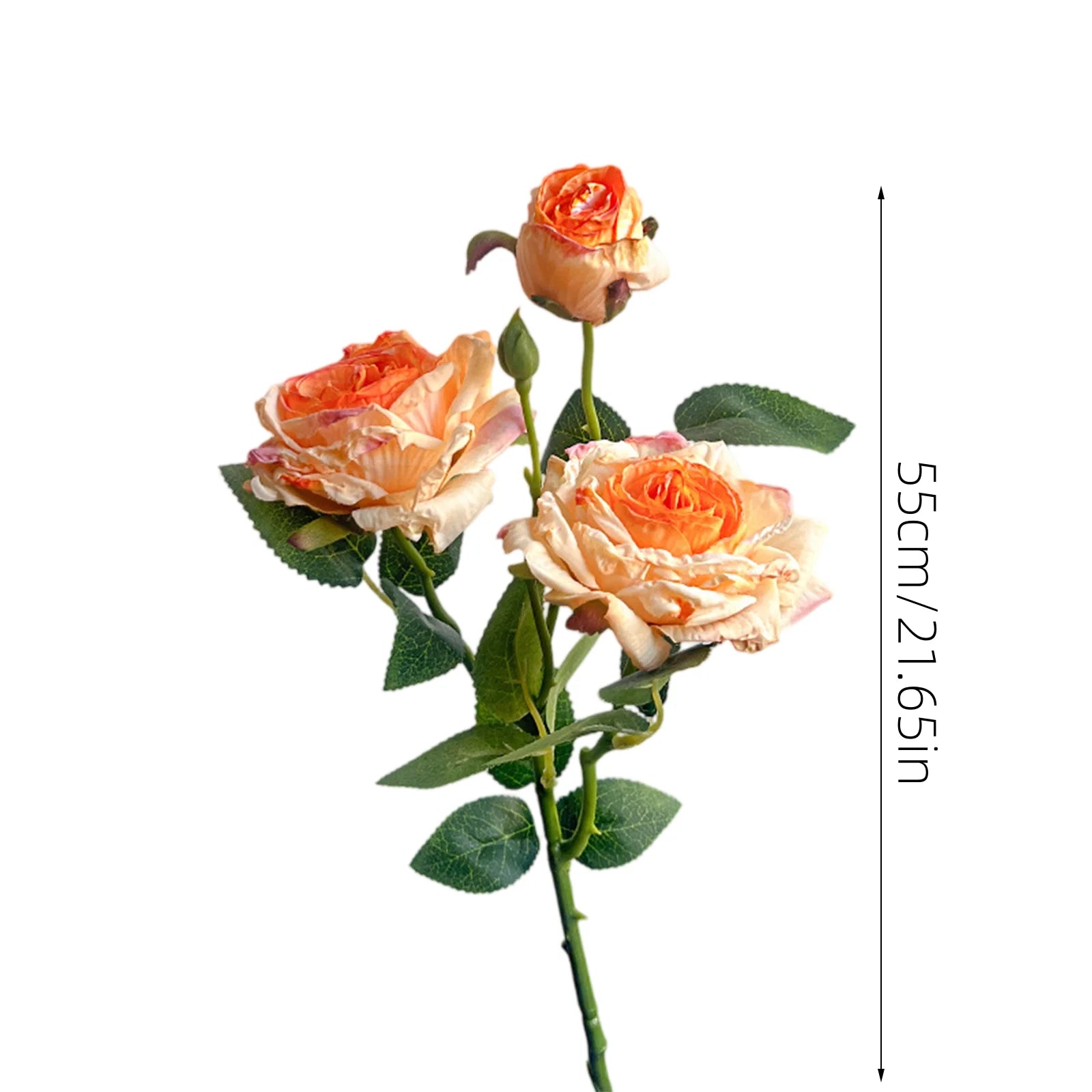 Rosa de Seda Borde Quemado Estilo Francés — Tallo 3 Cabezas, 8 Colores, Boda y Eventos