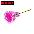 Rosa Bañada en Oro 24K — Rosa Dorada Eterna, Set con Base, 12 Colores, San Valentín