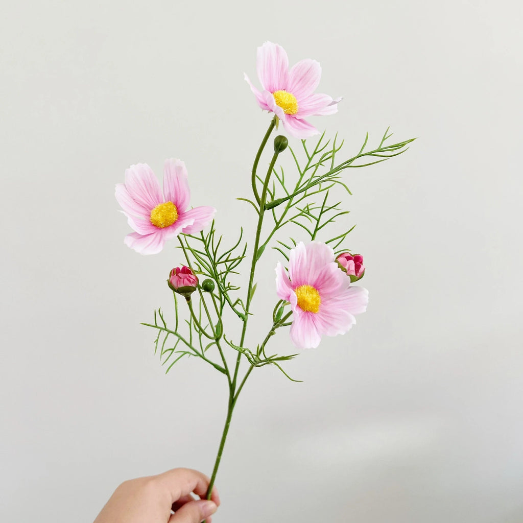 Rosa Cosmos Tallo Individual — Estilo Natural, 4 Colores