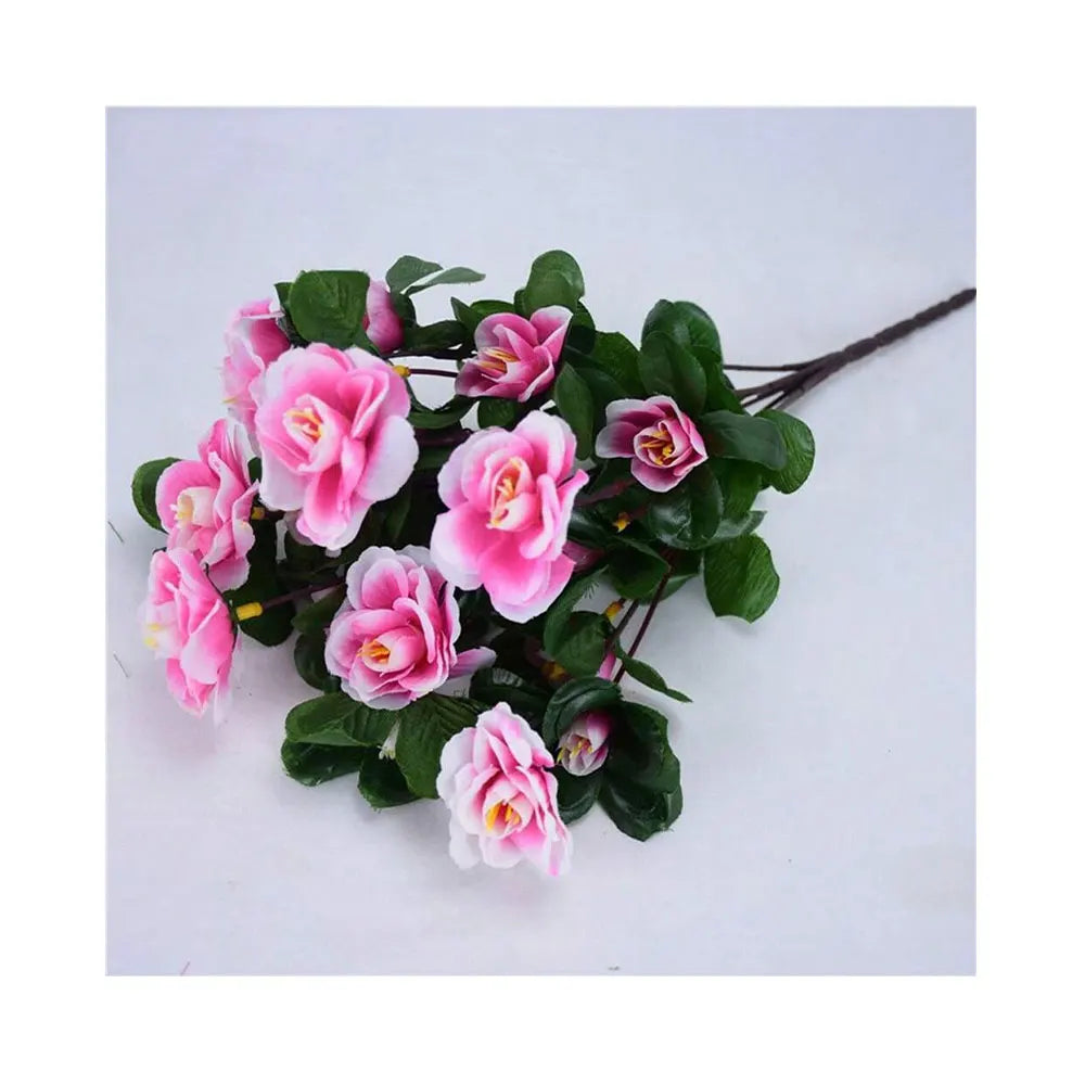Arbusto de Azalea Resistente al Sol UV — Exterior y Jardín, 7 Colores