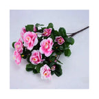 Arbusto de Azalea Resistente al Sol UV — Exterior y Jardín, 7 Colores