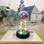 Eternal Rose Flower Valentines Birthday Gifts Light Up Artificial Rose with Transparent Dome Christmas Thanksgiving Women Gifts