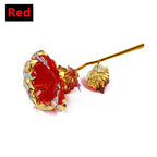 Rosa Bañada en Oro 24K — Rosa Dorada Eterna, Set con Base, 12 Colores, San Valentín