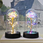 Eternal Rose Flower Valentines Birthday Gifts Light Up Artificial Rose with Transparent Dome Christmas Thanksgiving Women Gifts