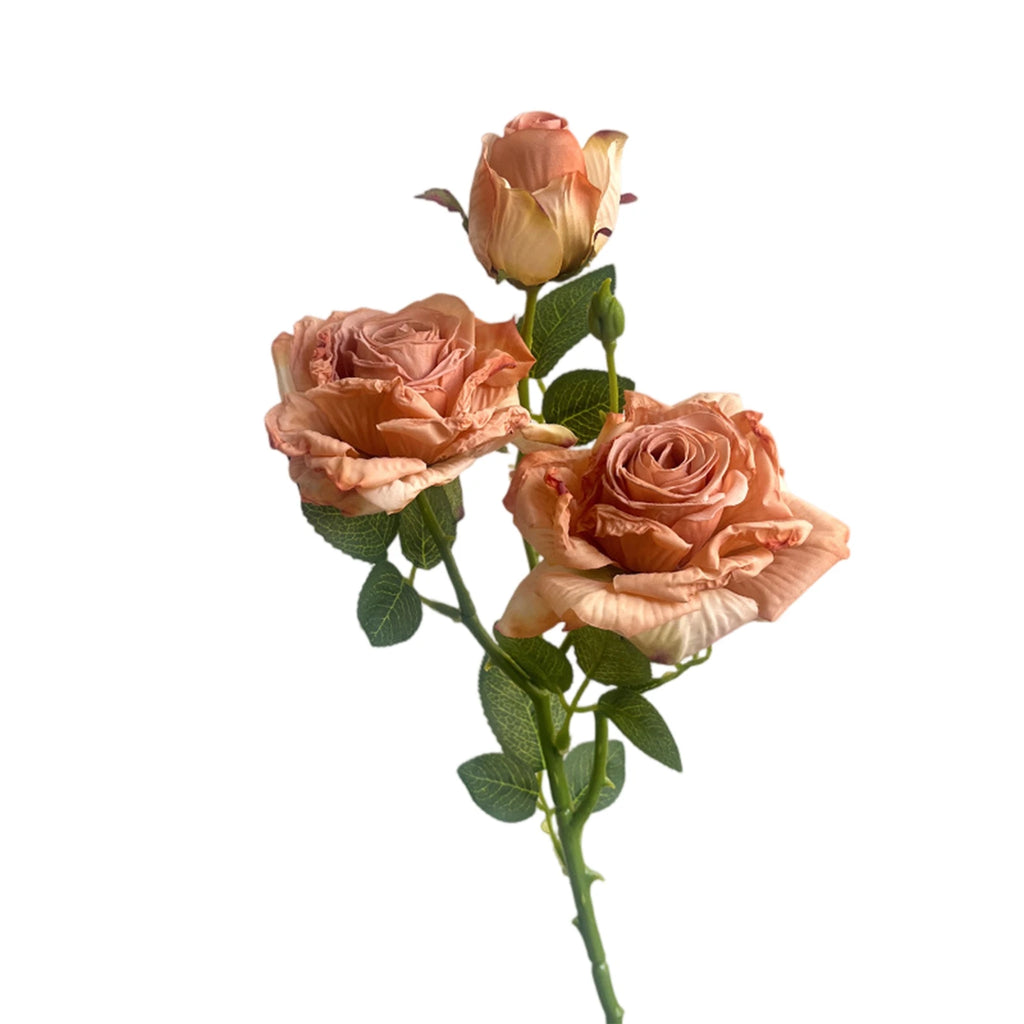 Rosa de Seda Borde Quemado Estilo Francés — Tallo 3 Cabezas, 8 Colores, Boda y Eventos