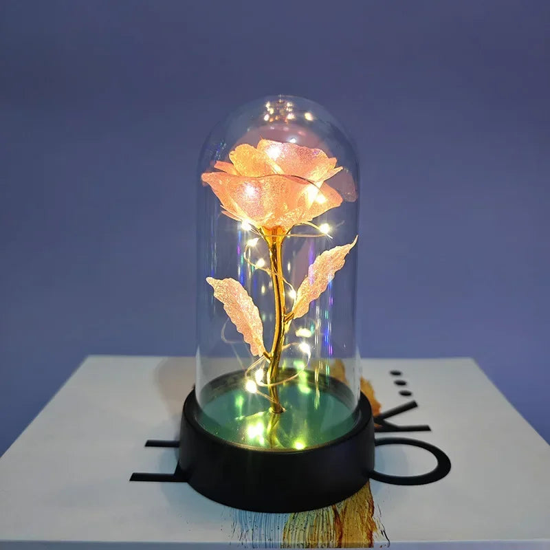 Eternal Rose Flower Valentines Birthday Gifts Light Up Artificial Rose with Transparent Dome Christmas Thanksgiving Women Gifts