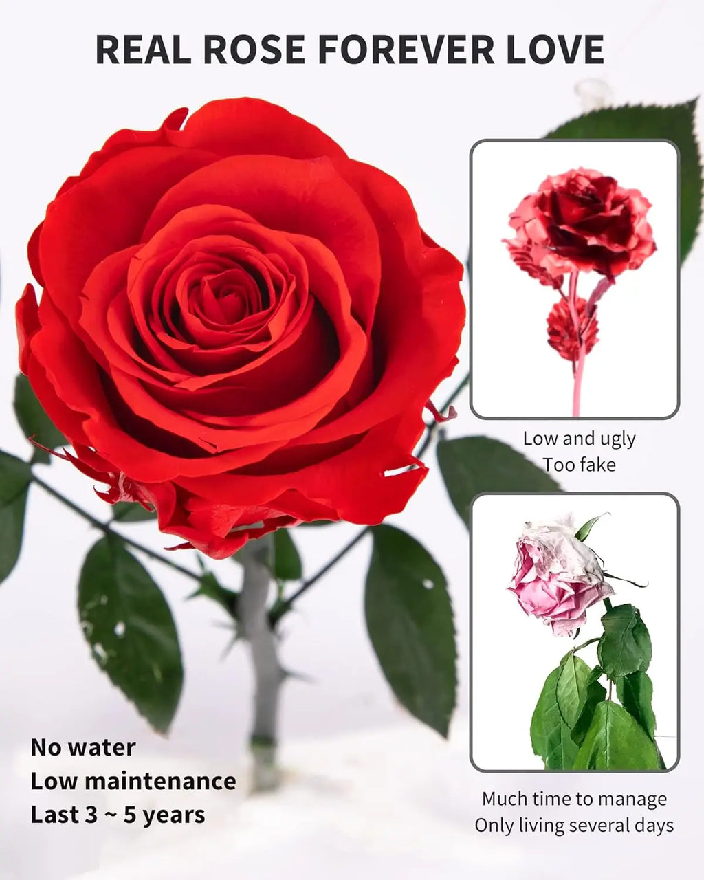 Preserved Rose for Women,Single Stem Eternal Rose Gift for Her,Mom Birthday Gifts From Daughter Valentine's Day Flowers Presents