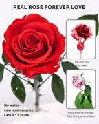 Preserved Rose for Women,Single Stem Eternal Rose Gift for Her,Mom Birthday Gifts From Daughter Valentine's Day Flowers Presents