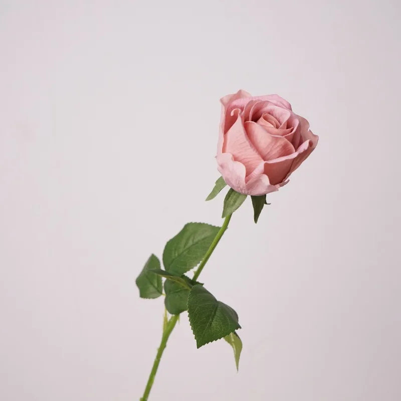 Rosas Real Touch con Humedad — Ramo 10 Tallos Látex, 6 Colores, Novia
