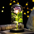 Artificial Rose Flowers Eternal Rose LED Light Foil Flower in Glass Cover Simulation Rose Flower Wedding Mother's Day Gifts