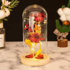 Rosa de Cristal con Luz en Cúpula de Vidrio — Regalo Navidad, Aniversario y San Valentín