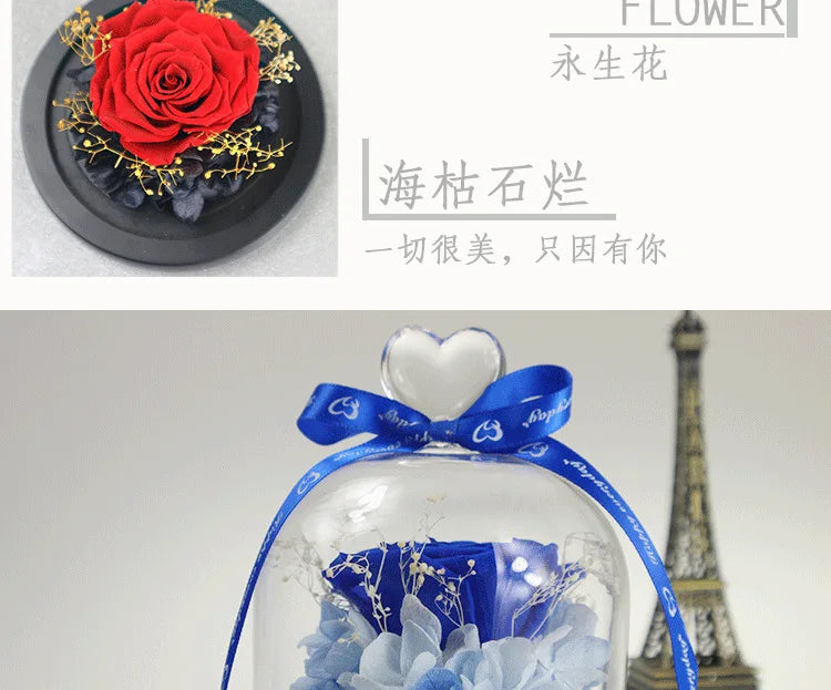 Natural Eternal Rose In Glass With lamp Beauty Preserved Flowers Forever Wedding Valentine Gifts for Girl