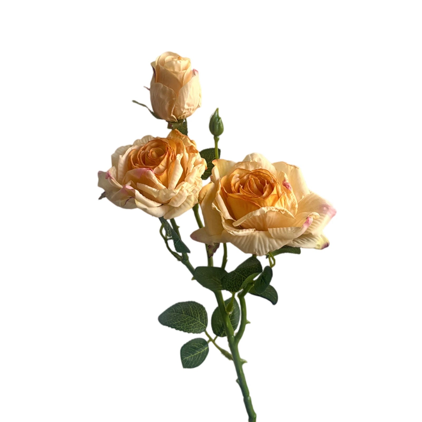 Rosa de Seda Borde Quemado Estilo Francés — Tallo 3 Cabezas, 8 Colores, Boda y Eventos