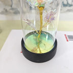 Eternal Rose Flower Valentines Birthday Gifts Light Up Artificial Rose with Transparent Dome Christmas Thanksgiving Women Gifts