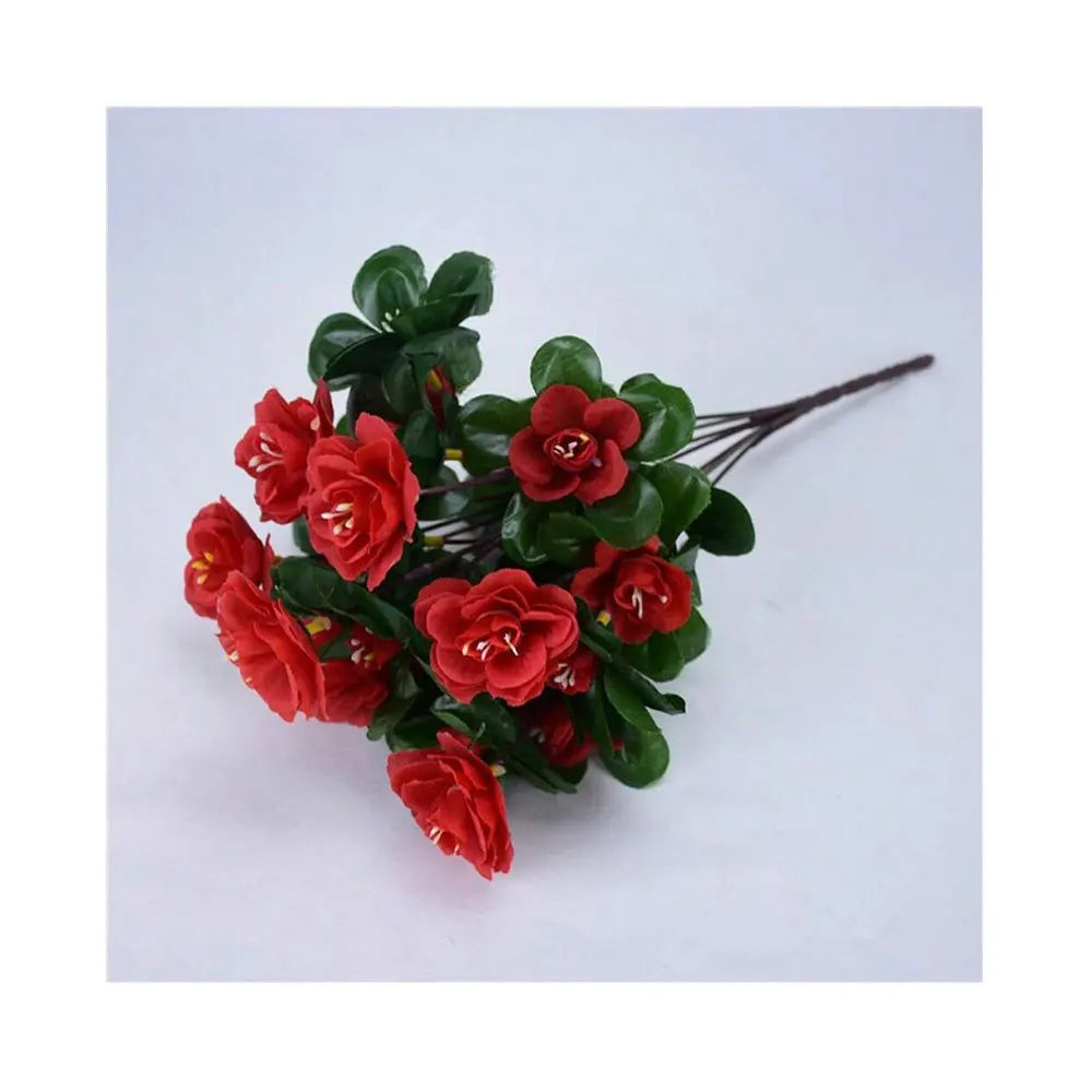 Arbusto de Azalea Resistente al Sol UV — Exterior y Jardín, 7 Colores