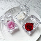 Eternal Preserved Rose Real Flower Valentine'S Birthday Anniversary Mother'S Day Acrylic Gift Box New Artificial Decorations