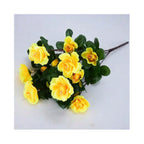 Arbusto de Azalea Resistente al Sol UV — Exterior y Jardín, 7 Colores