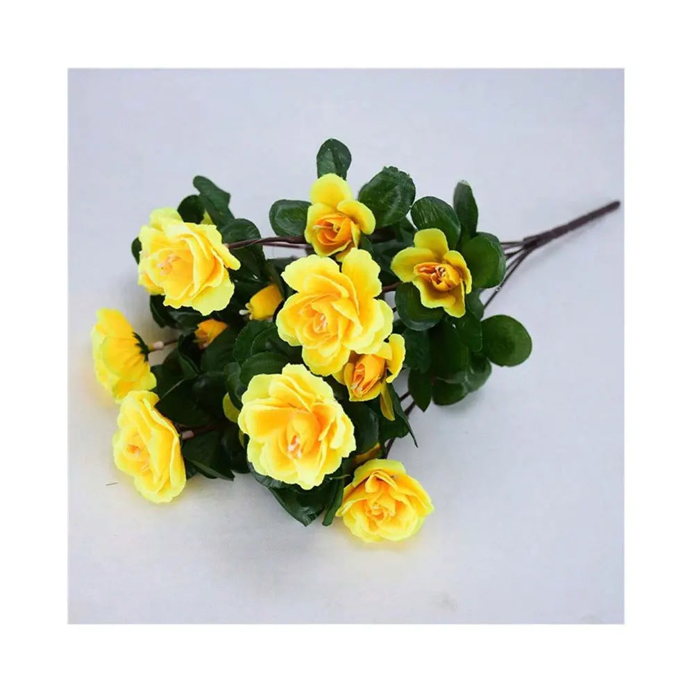 Arbusto de Azalea Resistente al Sol UV — Exterior y Jardín, 7 Colores