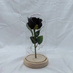 Artificial Rose Flowers Eternal Rose LED Light Foil Flower in Glass Cover Simulation Rose Flower Wedding Mother's Day Gifts