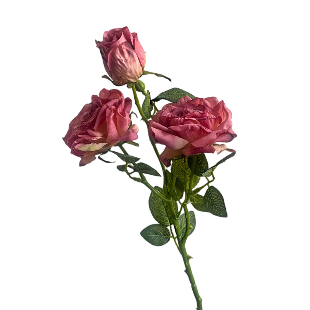 Rosa de Seda Borde Quemado Estilo Francés — Tallo 3 Cabezas, 8 Colores, Boda y Eventos
