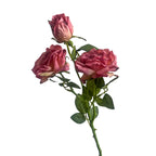 Rosa de Seda Borde Quemado Estilo Francés — Tallo 3 Cabezas, 8 Colores, Boda y Eventos