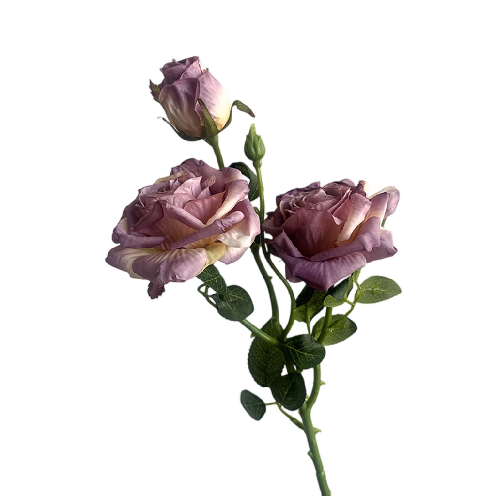 Rosa de Seda Borde Quemado Estilo Francés — Tallo 3 Cabezas, 8 Colores, Boda y Eventos