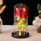 Creative Eternal Rose Glass Cover Ornament  LED Light Simulation  Flower  Mother's Day Valentine's Day Gift Anniversary Blessing