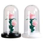 Romantic Eternal Rose Lamp with Lampshade Luminous LED Flower Light Pink Simple Rose Flower Night Light Wedding Decor