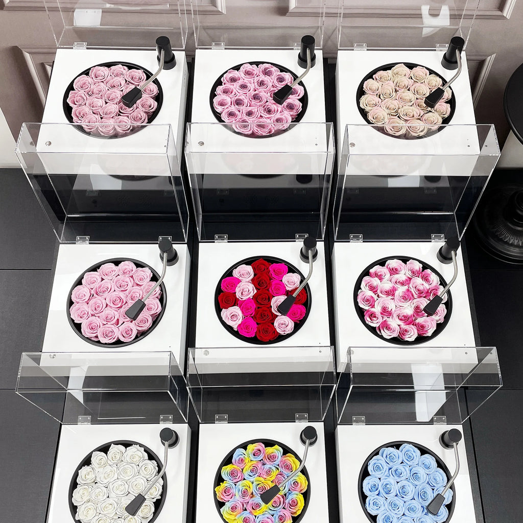 Rosa Eterna con Parlante Bluetooth — Regalo Único Fonógrafo, 4 Colores