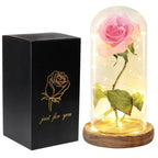 Beauty and Beast Artificial Flower Glass Cover Eternal Rose Birthday Gift Valentine's Day Gift