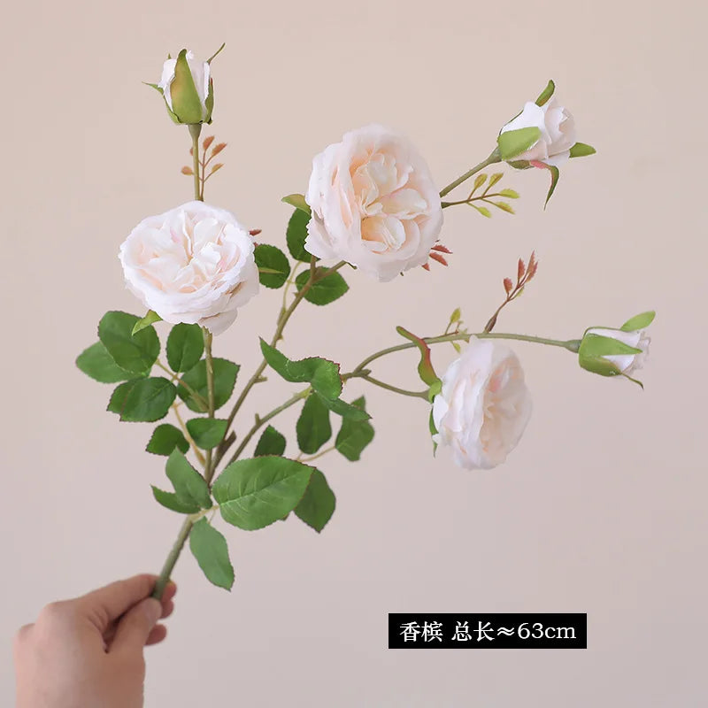 Rosa Austin de Seda Tallo Largo — Ecológica, 5 Colores, Bodas y San Valentín